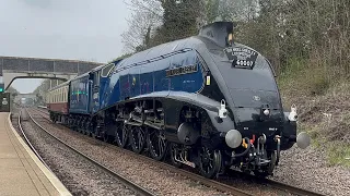 60007 ‘Sir Nigel Gresley’ Passing South Wigston 5/04/23