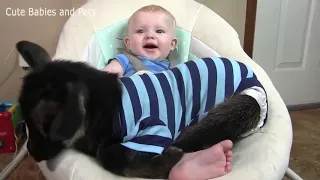 The Cutest Kids and Animals Compilation 2019 Pt  1 🐶🐱🐭🐹 Funny Pet Videos - child lover funny