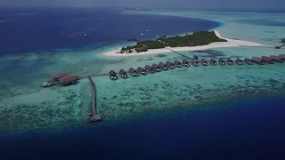 Cocoa Island Maldives by Drone