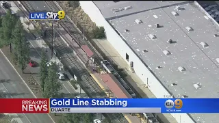 Stabbing On Metro Gold Line Train Leaves Woman Dead; Suspect Detained