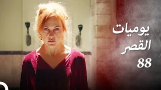 يوميات القصر 88 | أنا لست خائفة من الآلام