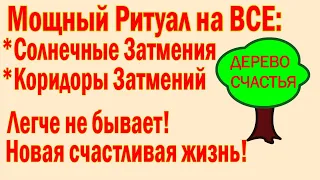 МОЩНЫЙ РИТУАЛ НА СОЛНЕЧНОЕ ЗАТМЕНИЕ/ЛЕГКО И ПРОСТО/ВАЖНО НАЛАДИТЬ ЖИЗНЬ/РИТУАЛ НА УДАЧУ И СЧАСТЬЕ !