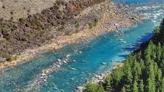 New Zealand's Best Trophy Trout Water |  River of Giants