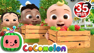 Learn to Count with Apples + More Nursery Rhymes & Kids Songs - CoComelon