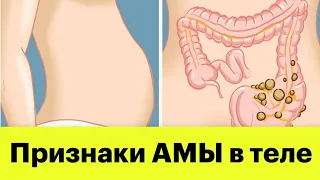 (270) Признаки АМЫ в организме | Аюрведа