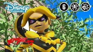 Miraculous | La Reine Banane | Disney Channel BE