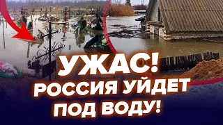 КАТАСТРОФА в РФ триває! Цілі МІСТА зносить водою / СТРАШНІ кадри | ЦИМБАЛЮК & НАКІ | Найкраще