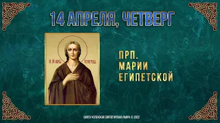 Преподобная Мария Египетская. 14 апреля 2022 г. Православный мультимедийный календарь
