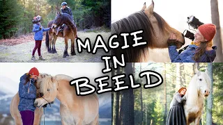 ✨ Magie vangen in beeld | Paardenfotografie in Noorwegen | Robin Rozendal