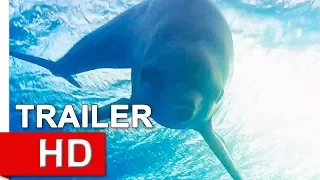 Disneynature's Dolphins Trailer #1 2018 | Hollywood Trailers