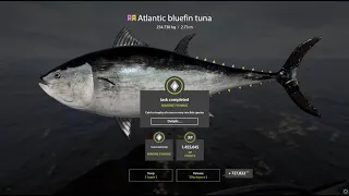 Russian Fishing 4 | Trophy Atlantic bluefin tuna | 254.738kg |  not full fight