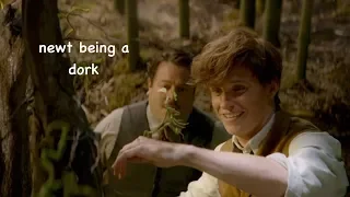 newt scamander being a dork for 3 minutes straight