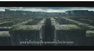 ตัวอย่าง The Maze Runner เมซรันเนอร์ วงกตมฤตยู Official Trailer HD ซับไทย