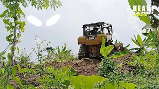 Caterpillar D6R XL bulldozer is very good at building new roads on plantations