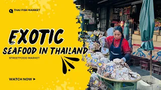 Cheapest Seafood Market  |Seafood |Thailand street food malayalam