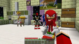 JJ and Mikey HIDE From Scary SONIC.EXE monsters in Minecraft Challenge Maizen Security House