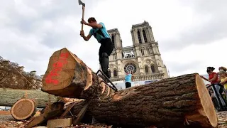 Carpenters use Medieval Techniques in Restoration of Notre Dame