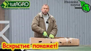 РАСПАКОВКА ПОСЫЛКИ С САЖЕНЦАМИ. Вскрытие посылки показало: она с сюрпризом! Саженцы роз от БЕККЕР.