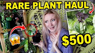 $500 RARE PLANT HAUL!!! HUGE RARE HOUSEPLANT HAUL | 21 RARE HOUSEPLANTS 2021