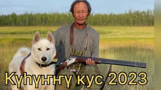 Күһүҥҥү кус 2023 с.