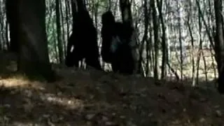 WORLD'S MOST SHOCKING BIGFOOT FOOTAGE