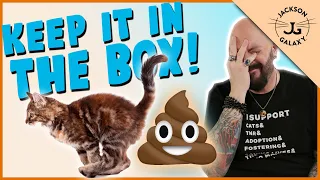 Does Your Cat RUN OUT of the litter box?