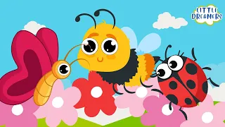 Butterfly, Ladybug, Bumblebee | Nursery Rhyme | Little Dreamers Songs for Kids