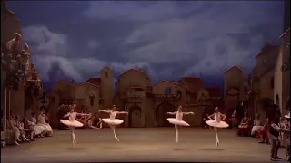 DON QUIXOTE - Extract Act 3 (Royal Ballet)