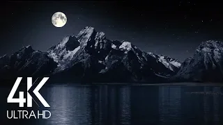 Night Time Nature Sounds at Full Moon 8 Hours - Lake Lapping Water, Crickets Summer Night  in 4K