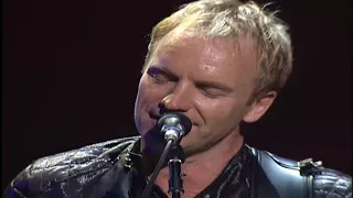 Sting and Cheb  Mami Live Desert Rose-Live