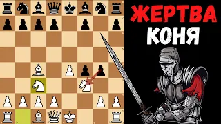 Агрессивный Королевский гамбит с жертвой Коня!