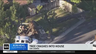 Powerful winds cause damage in LA neighborhoods