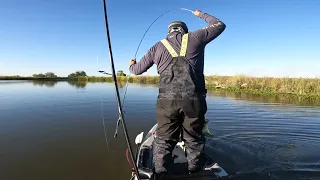 First Fresno/Mendota Slough Bass