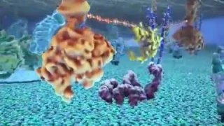 The Inner Life of the Cell (2006) Harvard Biology