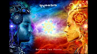 Zymosis - Between Two Points [Album] 2012