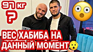 Хабиб Назвал Свой Актуальный Вес / Сколько весит Хабиб сейчас