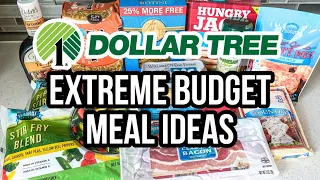EXTREME BUDGET MEALS DOLLAR TREE | Dollar Tree 5 Ingredient Dinners