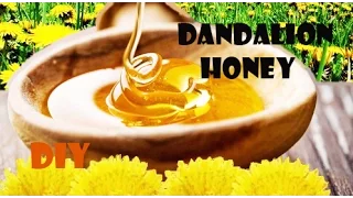 DIY: How to make DANDELION HONEY (great old recipe)