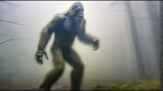 Unveiling Bigfoot: The Search for the Elusive Creature