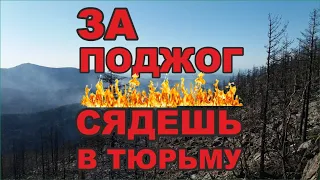 За поджог сухой травы сядешь в тюрьму.