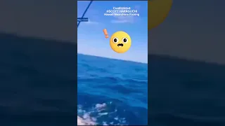 Shark Attack off Hawaii