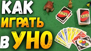 Как Играть в УНО (UNO) / Настольная Игра Уно / Правила Игры в УНО #настольныеигры