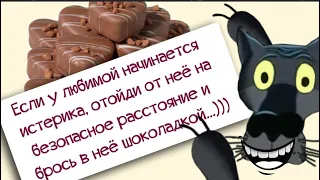 ✔️Тайна счастливого брака заключается в трех словах: "Ты права, любимая". Анекдоты с Волком.