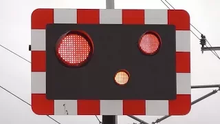 Railway Crossing Lights Gone Crazy !