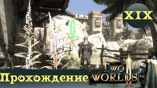 Two Worlds 2 ➤ [Прохождение #19] ➤Салах - друг или враг?