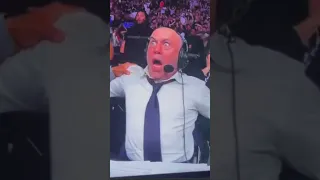 Joe rogans reaction to leon edwards knockout 😂😂 #ufc #ufc278