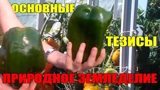 ПРИРОДНОЕ ЗЕМЛЕДЕЛИЕ - ОСНОВНЫЕ ТЕЗИСЫ!