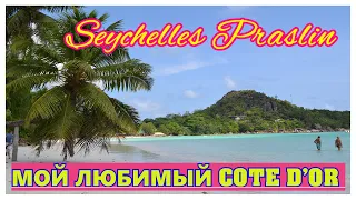 🔴Обзор пляжа Кот Д'Op 🔴Остров Праслин Сейшелы🔴Cote d'Or beach🔴Praslin Seychelles🔴 🔴#mirnaladoni2020