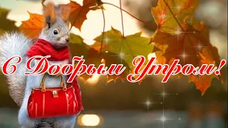 С Добрым Утром!🍁🍁🍁Желаю Счастья и Тепла! Музыка Сергей Чекалин! Красивая Музыкальная Открытка!