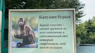 Санаторий Октябрьский. В зоопарке.